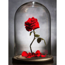 Роза в стеклянном куполе 30x40 cm