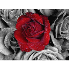 Roses 30x40 cm