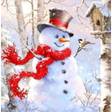 Snowman with a scarf 25x25 cm