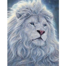 Baltasis liūtas 30x40 cm