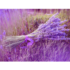 Lavanda 30x40 cm
