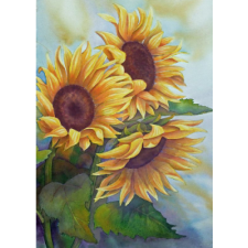 Sunflowers 30x40 cm