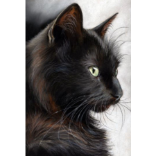 Black Cat 30x40 cm
