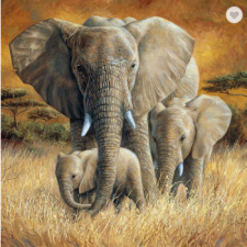 Семья слонов 2 30x40 cm