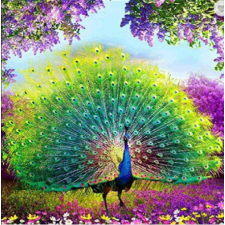Peacock 5 38x38 cm