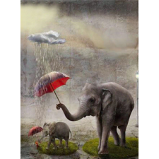 Слоны и дождевое облако 30x40 cm