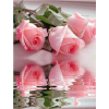 Rožės 40x50 cm