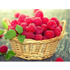 Raspberries 23x33 cm