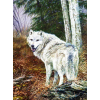 Vilks 1 40x50 cm