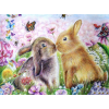 Two rabbits 1 30x40 cm