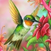 Hummingbird 30x30 cm