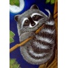  Raccoon 30x40 cm