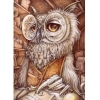 Smart Owl 30x30 cm
