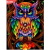 Colorful Owl 30x40 cm