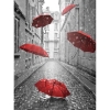  Umbrellas on the street 30x40 cm