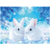 White bunnies 30x40 cm