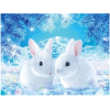 White bunnies 30x40 cm