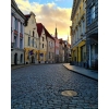 Tallinn Old Town 40x60 cm