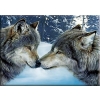  Волки 30x40 cm