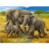 Ziloņu ģimene 1 30x40 cm