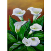 Baltas lilijas 30x40 cm