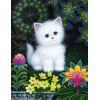 Snow-white Kitten 30x40 cm