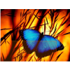 Blue Butterfly 30x40 cm