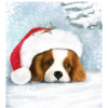 Puppy With a Santa Hat 30x40 cm